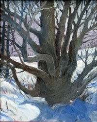 Winter Trees 3